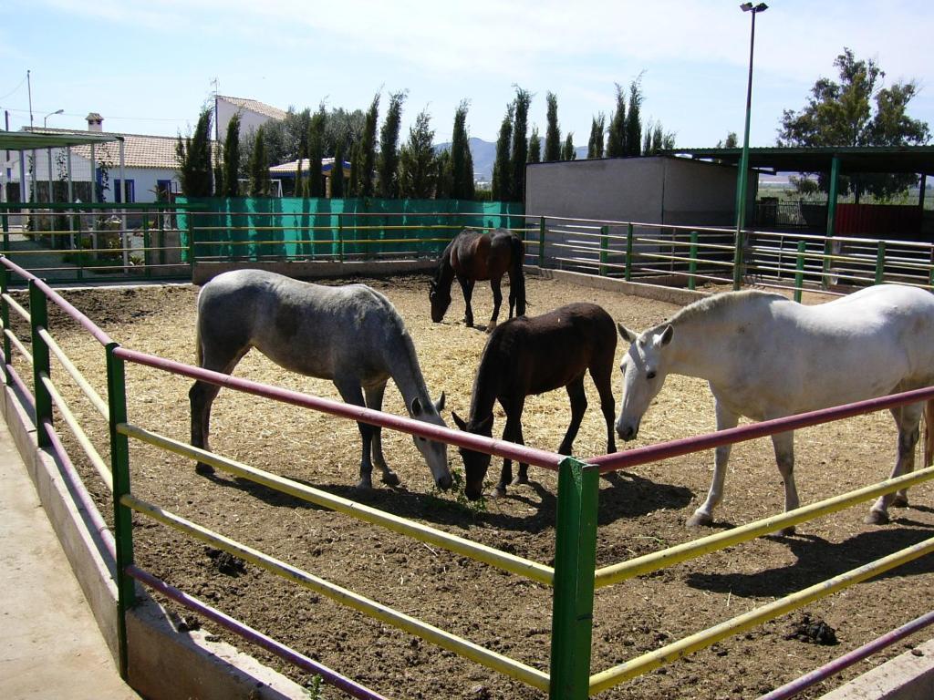 Casa Rural La Noria La Escucha Kültér fotó